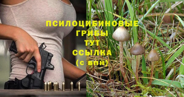 а пвп мука Алексин